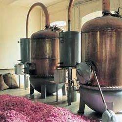 Manufacturers Exporters and Wholesale Suppliers of Steam Distillation Systems Andheri West Mumbai Maharashtra
